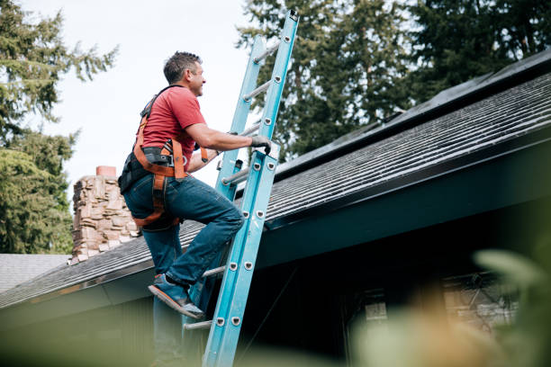 Best Solar Panel Roofing Installation  in Mendota, CA